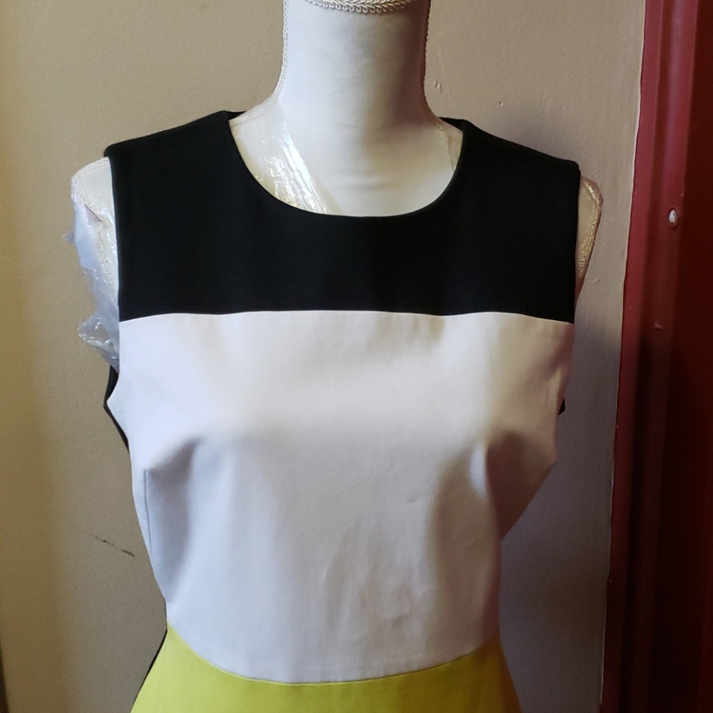 Calvin Klein  b7c blk/wht/ citron Dress Size 14 - Picture 2 of 16